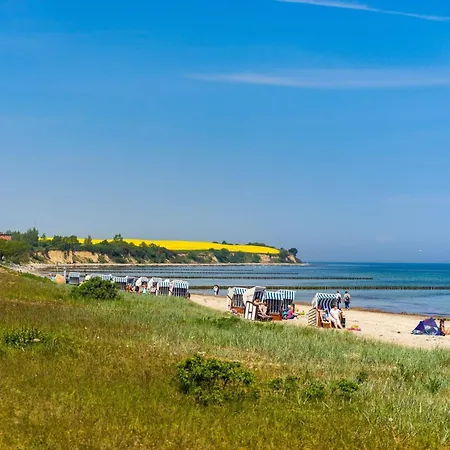 Seeschwalbe Whg Sew8 Moewe Apartament *